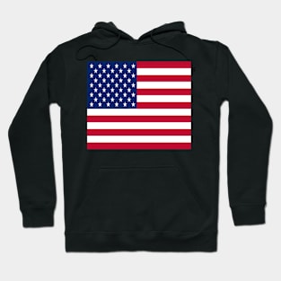 Flag of USA Hoodie